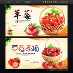 草莓
