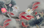 荷花鲤鱼图