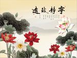 宁静致远荷花