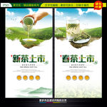 新茶上市