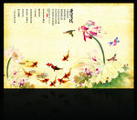 国画荷花