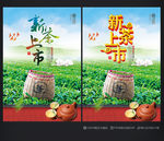 新茶上市