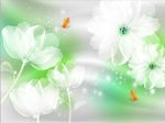 3D梦幻花