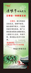 清明节展架
