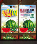 新鲜西瓜 写意创意主题