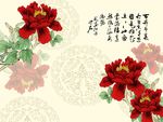 花开富贵牡丹花