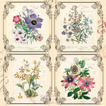 装饰画 无框画  欧美花纹