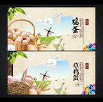 草鸡蛋