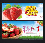 草莓