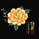 牡丹花