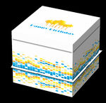 活力动感蛋糕盒三件套效果图