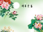 富贵吉祥牡丹花