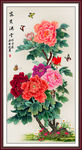 牡丹