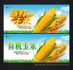 玉米