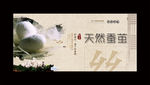 蚕茧