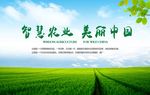 智慧农业展板海报美丽中国