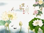 家和富贵牡丹荷花
