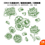 手绘线描玫瑰花矢量图