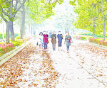 大学校园