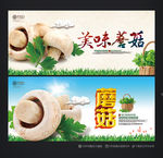 蘑菇