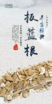 板蓝根