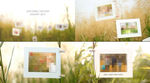 芦苇杆温馨家庭影像展示AE模板