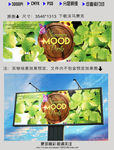 夏日绿色活动