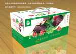 杨梅包装