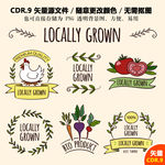 手绘美食蔬菜标签图