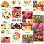 大气质感苹果详情页