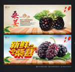 桑葚