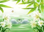 竹子百合花