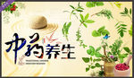 中药养生