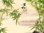 家和富贵竹子
