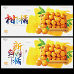 柑橘