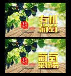 采摘园 葡萄熟了