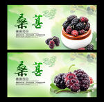 桑葚