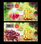 采摘园 红提