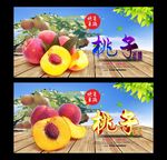 桃子 采摘园