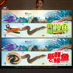我叫鳗鱼 写意表现新鲜感主题
