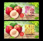 油桃 采摘园