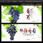 葡萄