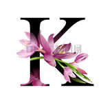 K英文字母