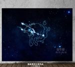 十二星座金牛座