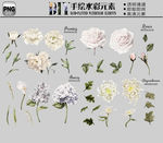 高清PNG水彩花卉图案