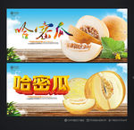 哈密瓜