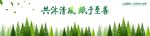 绿色背景