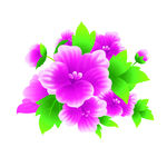 紫红鲜花
