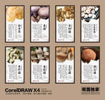 食用菌介绍