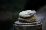 石头